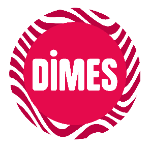 DİMES — Dimes, İkinci Bono İhracını Yabancı Yatırımcı Talebiyle Tamamladı — image 5 of 5