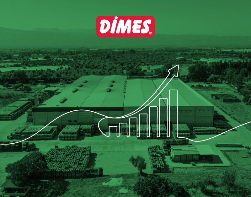 DİMES — Dimes 2025 Hedeflerini Açıkladı