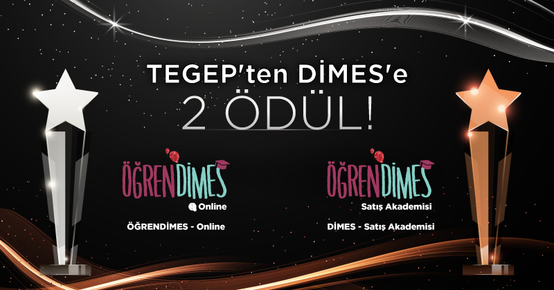 DİMES — TEGEP’ten Dimes İnsan Kaynakları Uygulamalarına 2 Kategoride 2 Ödül