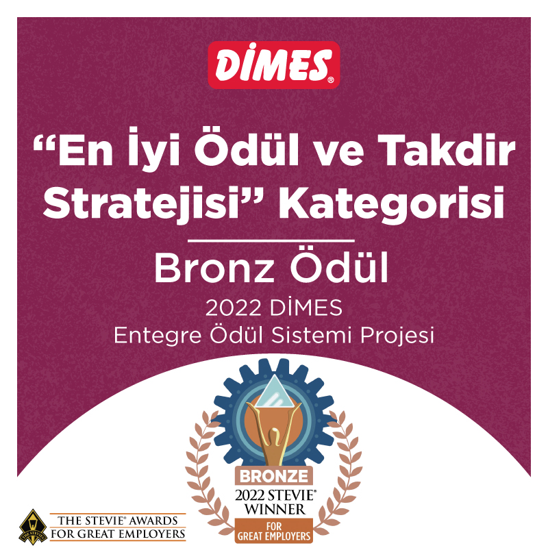DİMES — Dimes İnsan Kaynakları Entegre Ödül Sistemi Projesi’ne Uluslararası Ödül