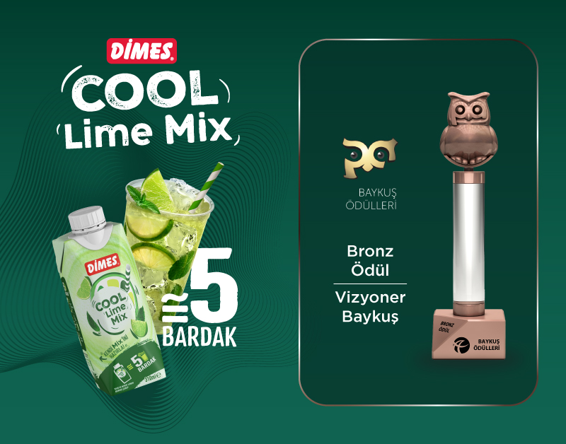 DİMES — Vizyoner Baykuş Bronz Ödülünün Sahibi Dimes