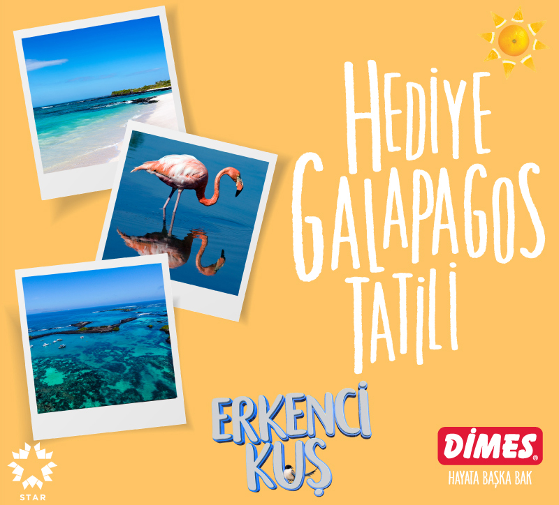 DİMES — Şanslı ‘Erkenci Kuş’ Hayranı DİMES’le Galapagos Adaları’nda! — image 1 of 1