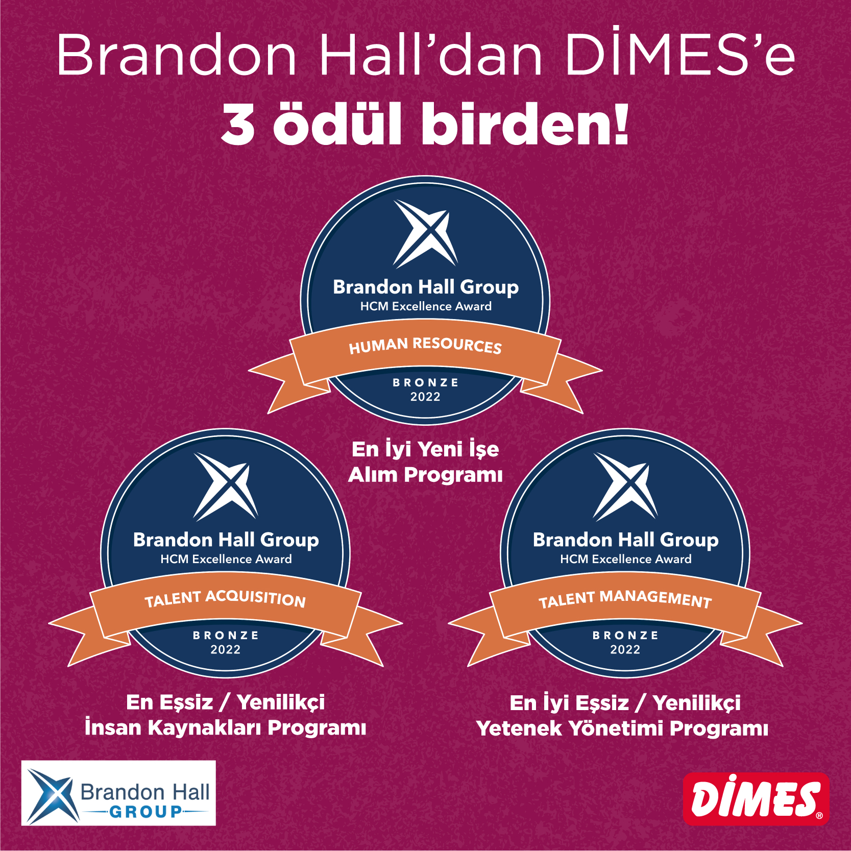 DİMES — Dimes İnsan Kaynakları Uygulamalarına 3 Kategoride Brandon Hall Mükemmellik Ödülü — image 1 of 1